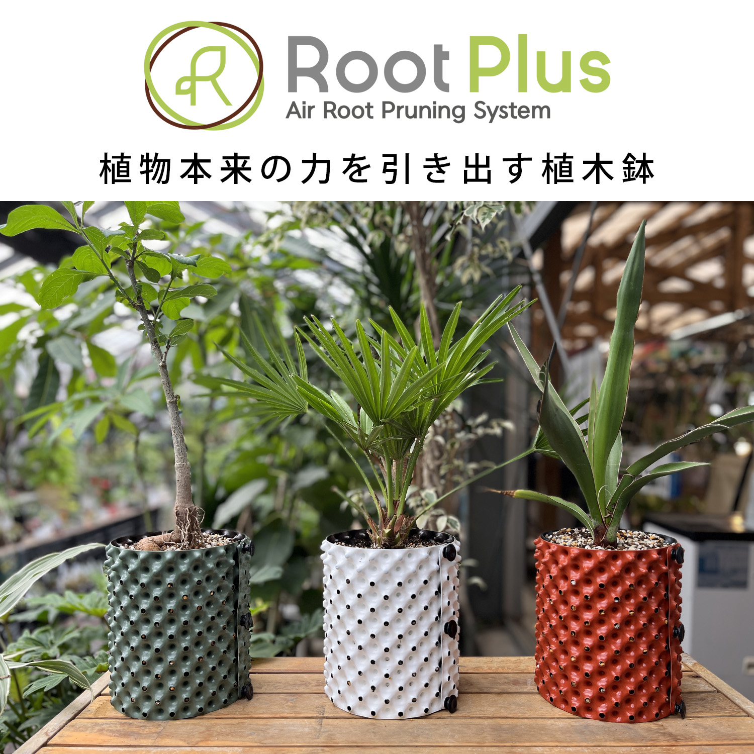 ルートプラスポットの画像1