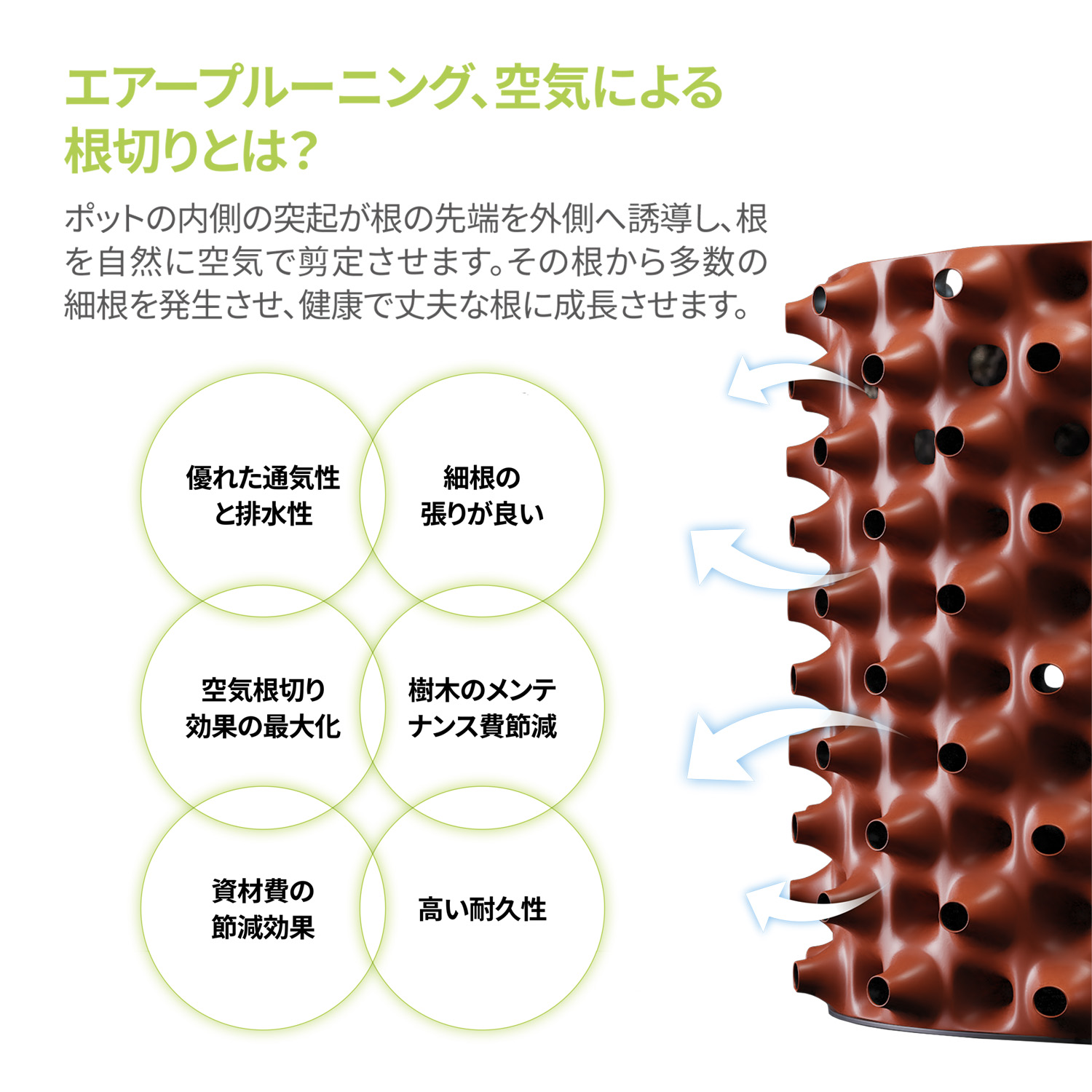 ルートプラスポットの画像2