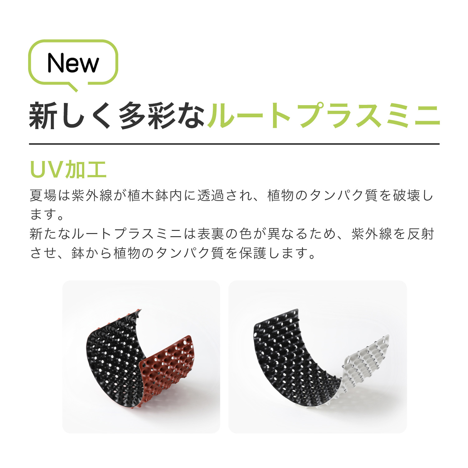 ルートプラスポットの画像4