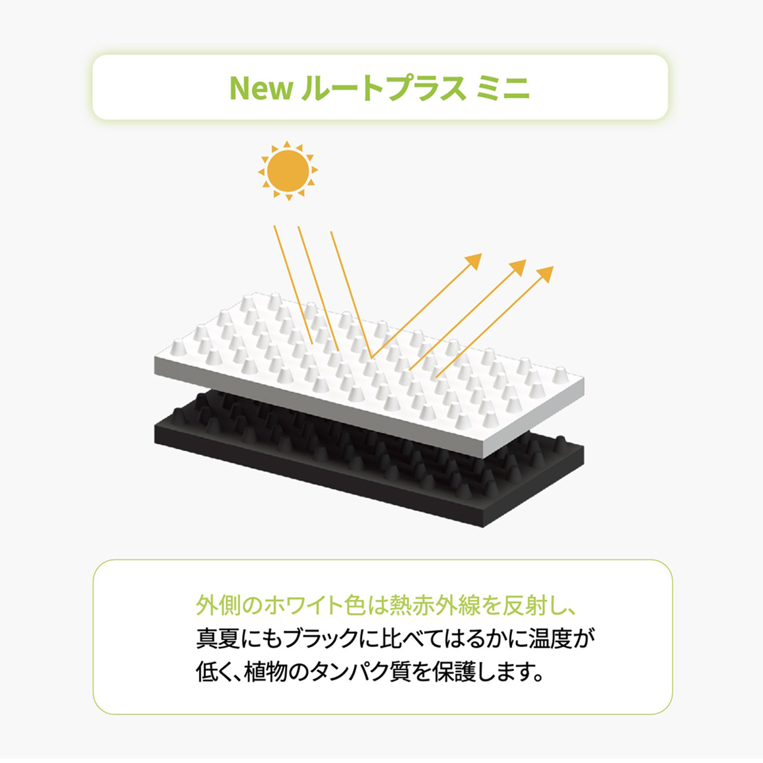 ルートプラスポットの画像5